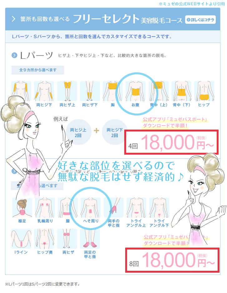 ミュゼのSパーツ、Lパーツプランの詳細