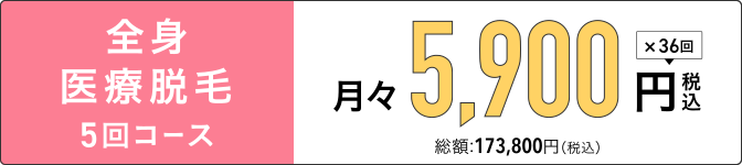 全身脱毛セットプラン
